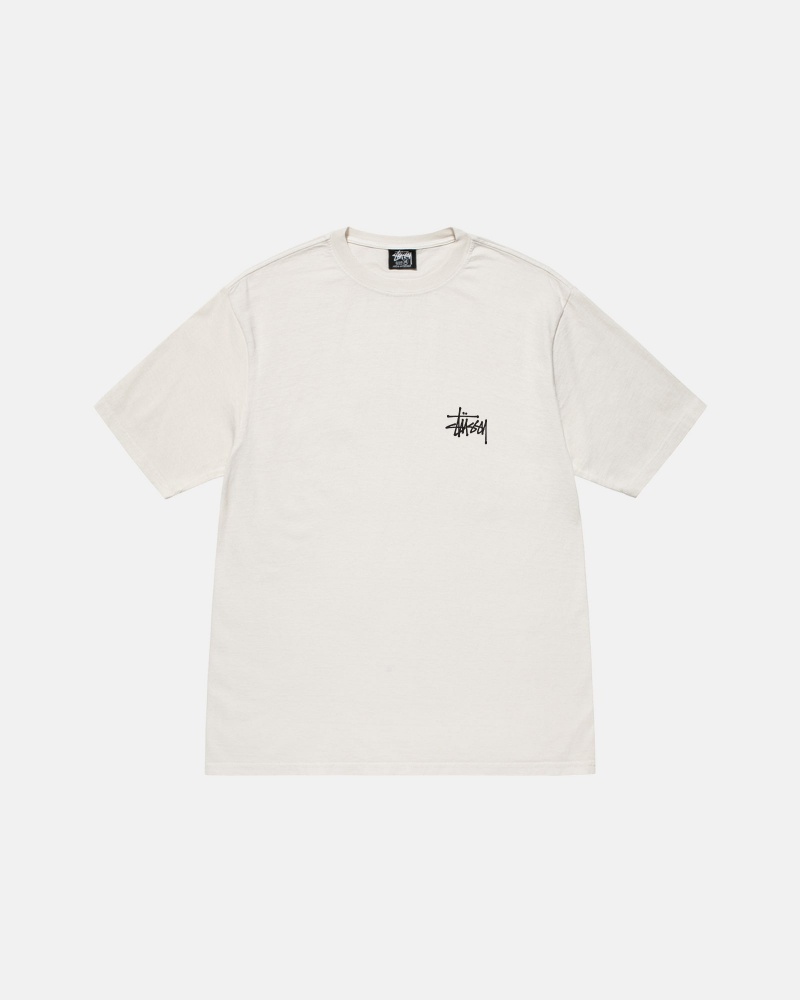 Stussy Basic Pigment Dyed T-shirts Beige | 94507-QBKD