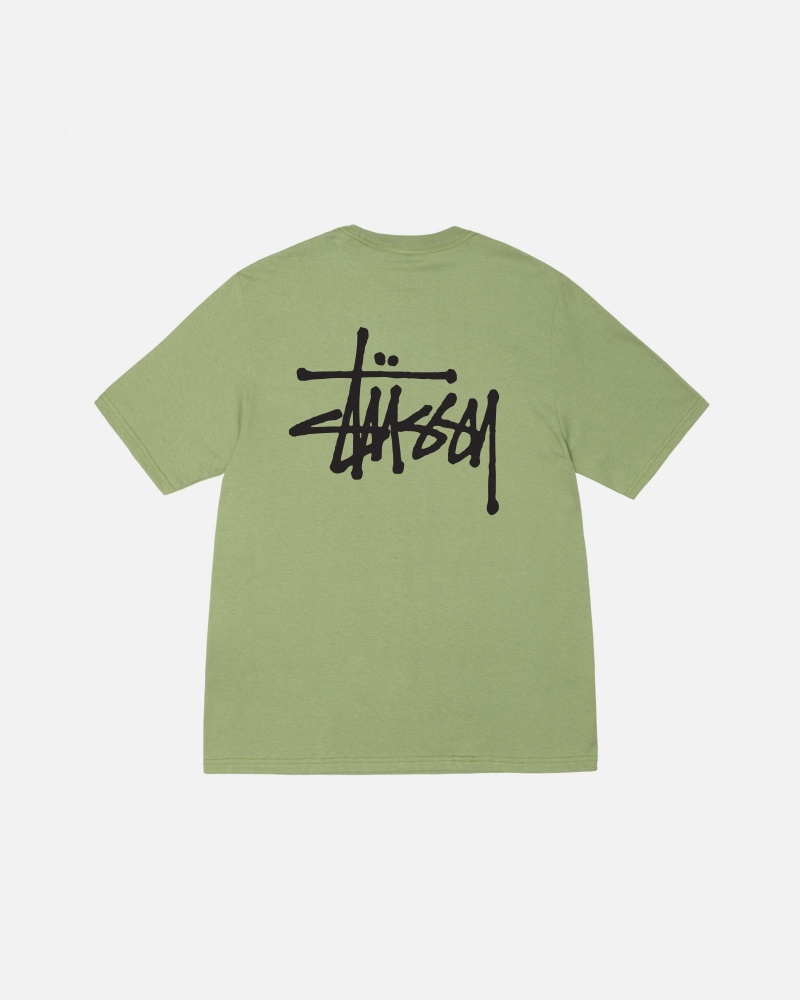 Stussy Basic T-shirts Grün | 19820-NWHS