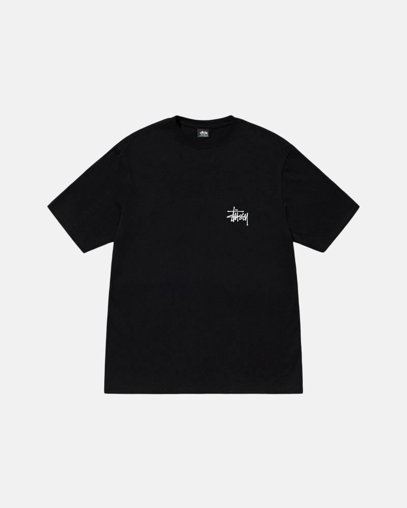 Stussy Basic T-shirts Schwarz | 15480-TGDA