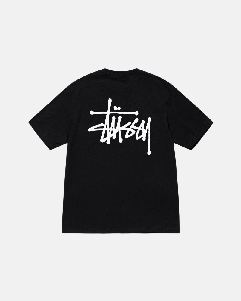 Stussy Basic T-shirts Schwarz | 15480-TGDA