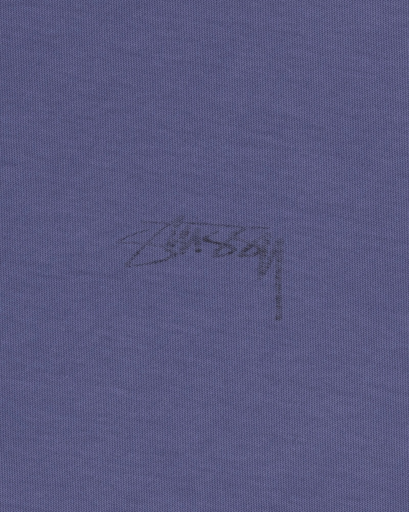 Stussy Lazy Ls T-shirts Tiefesblau | 80246-AZJN