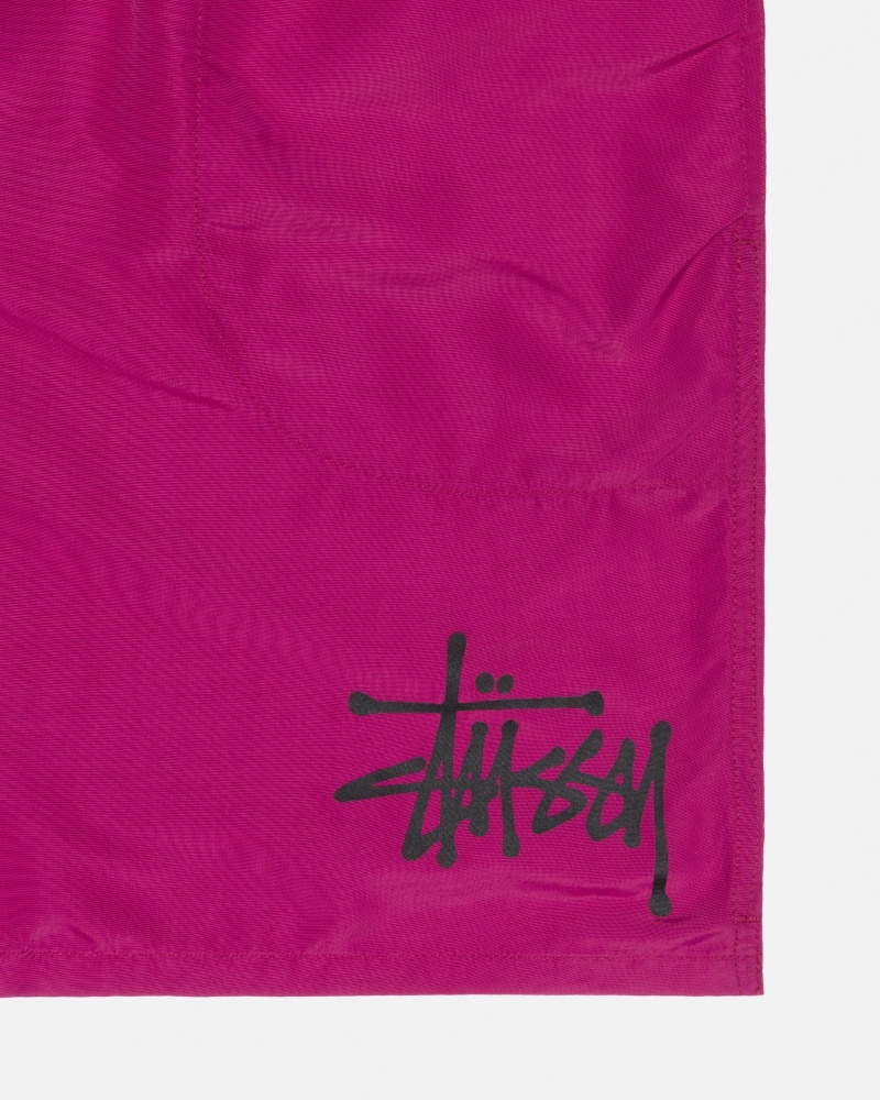 Stussy Mesh Big Basic Kurze Hose Lila | 16208-BVAN